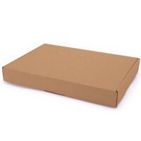 Maxibriefkarton 350x250x50 mm (Außenmaß)...