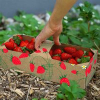 Basket strawberry | cardboard fruit punnet | berry basket with print | 1 kg | 259x109x89 mm