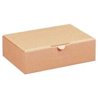Maxibriefkarton 160x110x50mm braun | Maxibrief...
