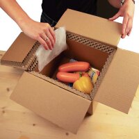 BOXXcool Thermokarton 7,5 Liter | 237x187x190 mm |...