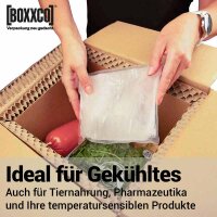 BOXXcool Thermokarton 7,5 Liter | 237x187x190 mm |...