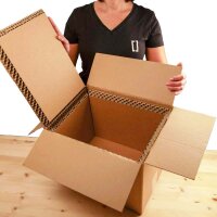 BOXXcool I 15 Liter I Faltkarton mit Wabeninlay als...