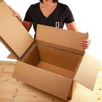 BOXXcool I 20 Liter I Faltkarton mit Wabeninlay als...
