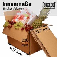 BOXXcool I 20 Liter I Faltkarton mit Wabeninlay als...