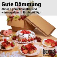BOXXcool I 20 Liter I Faltkarton mit Wabeninlay als Kühlbox I Isolierverpackung I FEFCO 0201 | 407x227x230 mm