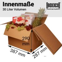 BOXXcool I 30 Liter I Faltkarton mit Wabeninlay als...