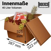 BOXXcool I 40 Liter I Faltkarton mit Wabeninlay als...