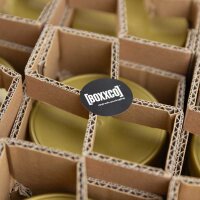 BOXXflexx die-cut insert for glass shipping | double-wall