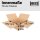 Faltkarton 592x592x200 mm zweiwellig | Versandkarton