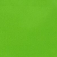 Papiertragetasche 220x100x280 mm grün | Professionelle Geschenkverpackung