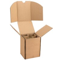 BOXXflexx Glasversandkartons | 1er Komplettset