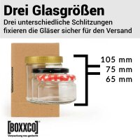 BOXXflexx Glasversandkartons | 1er Komplettset