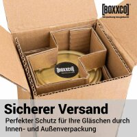 BOXXflexx Glasversandkartons | 1er Komplettset