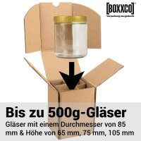 BOXXflexx Glasversandkartons | 1er Komplettset