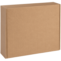 Delikatessenkarton Natura I groß I 448x374x120 mm