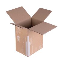 6er Flaschenkarton I DHL-Zertifiziert (PTZ) I Umkarton I...