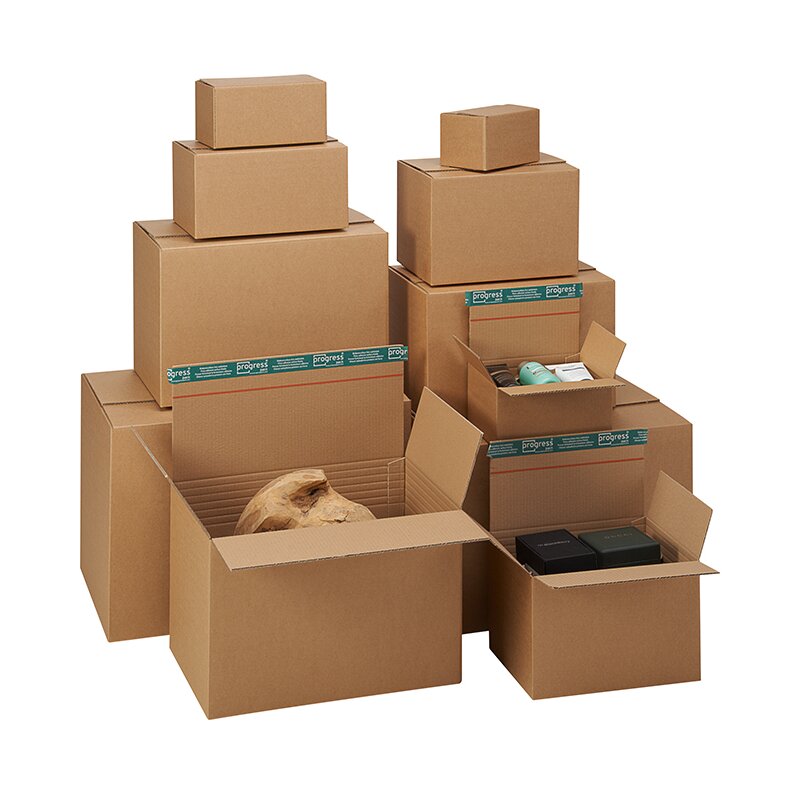 Cardboard box 310x230x100-160 mm single-wall | Shipping box with multi-score lines (DIN A4+)