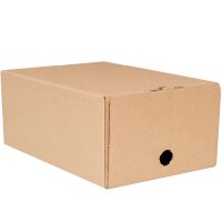 Karton Bag-in-Box 10 Liter I 245x150x340 mm I FEFCO 0713