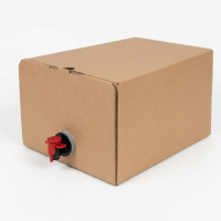 Karton Bag-in-Box 10 Liter I 245x150x340 mm I FEFCO 0713