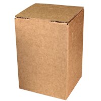 Karton Bag-in-Box 3 Liter I 143x134x220 mm I FEFCO 0713