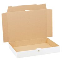 Maxibrief Karton 336x245x46 mm einwellig weiß (DIN...