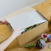 Faltkarton mit mehrlagiger Isolierfolie | 260x160x120 mm | 5 Liter