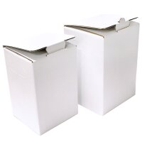 Bag-in-Box cartons with individual premium print, 5 liters, 4c printing