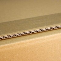 ECOLINE Flaschenkarton | 12 Flaschen 0,75 L | 420x305x368 mm