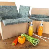 Faltkarton mit Vlies-Inlay | 400x300x250 mm | 30 Liter
