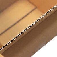 Shipping carton for Bag-in-Box I FEFCO 0201